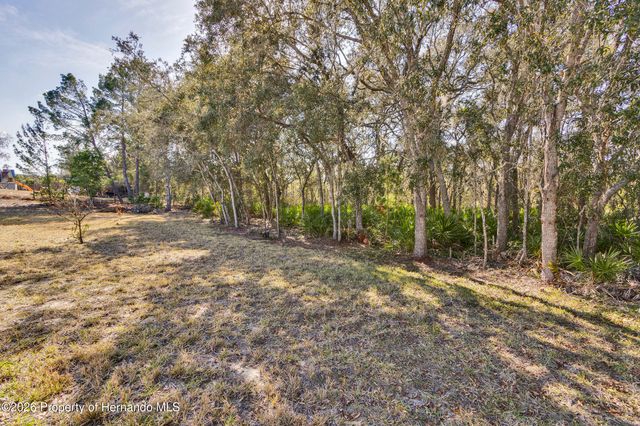 7095 Blackbird Avenue, Weeki Wachee, FL 34613