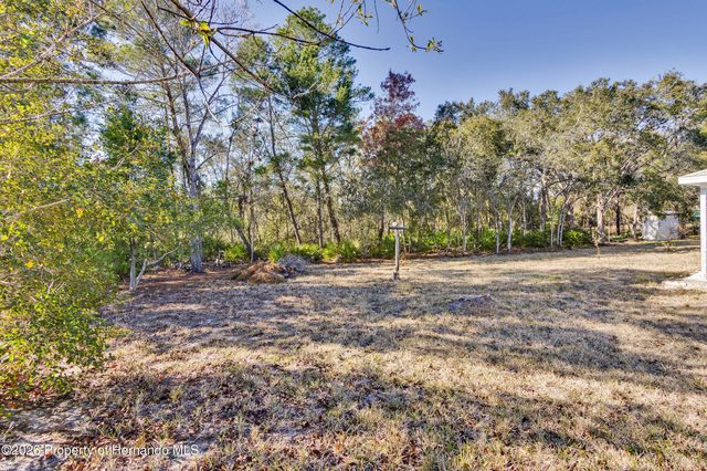 7095 Blackbird Avenue, Weeki Wachee, FL 34613