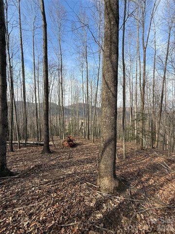 1029 Chippawa Drive 67, Arden, NC 28704