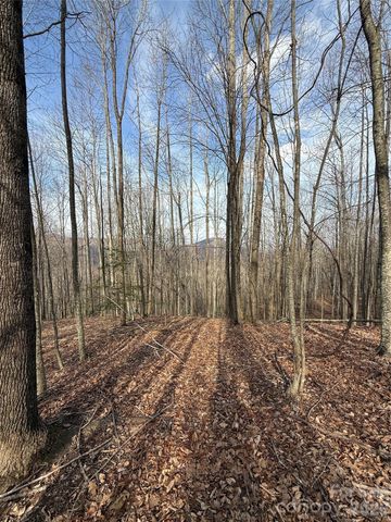 1029 Chippawa Drive 67, Arden, NC 28704