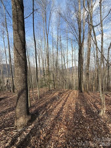 1029 Chippawa Drive 67, Arden, NC 28704