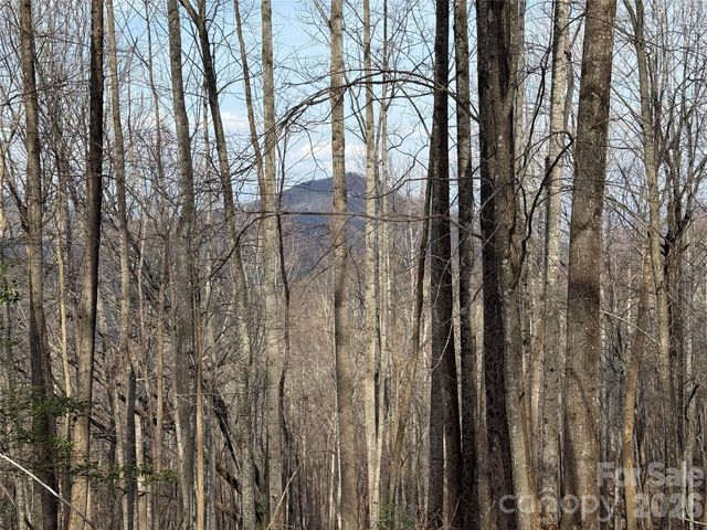 1029 Chippawa Drive 67, Arden, NC 28704