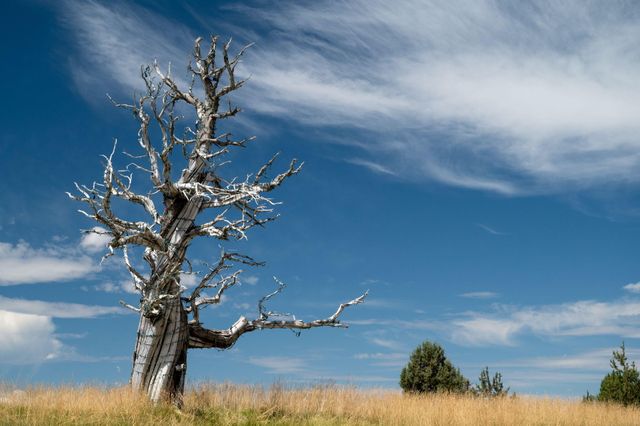 22936 Ghost Tree Lane, Bend, OR 97701