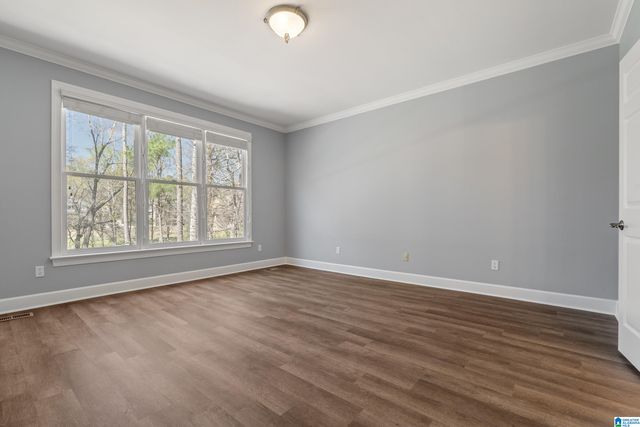 1216 WILLOW LEAF CIRCLE, Hoover, AL 35244