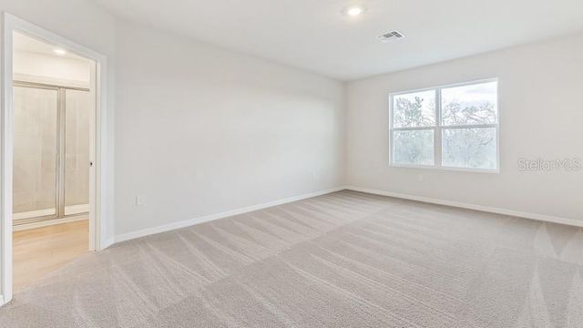 10436 WOODLAND GARDEN WAY, Parrish, FL 34219