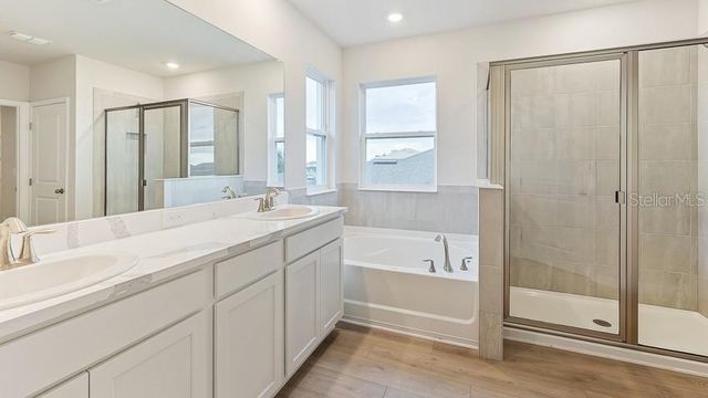10436 WOODLAND GARDEN WAY, Parrish, FL 34219