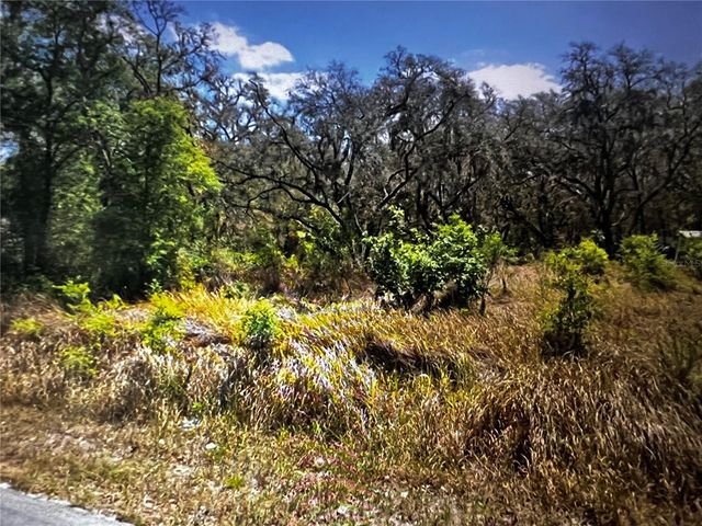 293 OAK LANE DR., Ocala, FL 34472