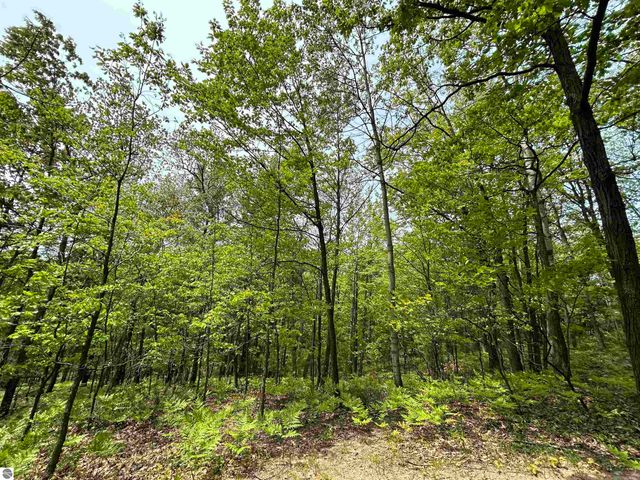 3423 Holiday Ridge Road, Traverse City, MI 49696