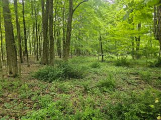 0 Taylor Road, New Milford, CT 06776