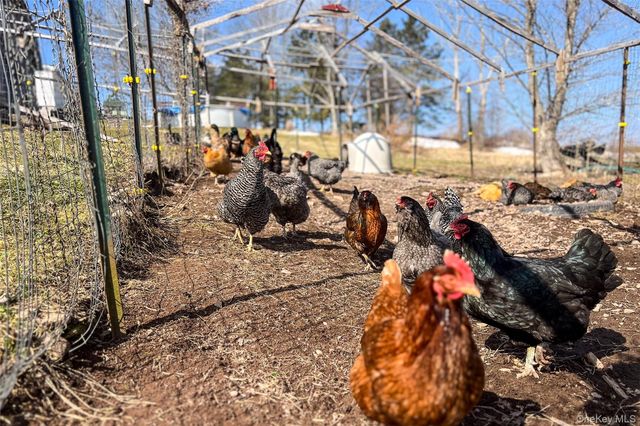 802 County Highway 3a, Call Listing Agent, NY 13849