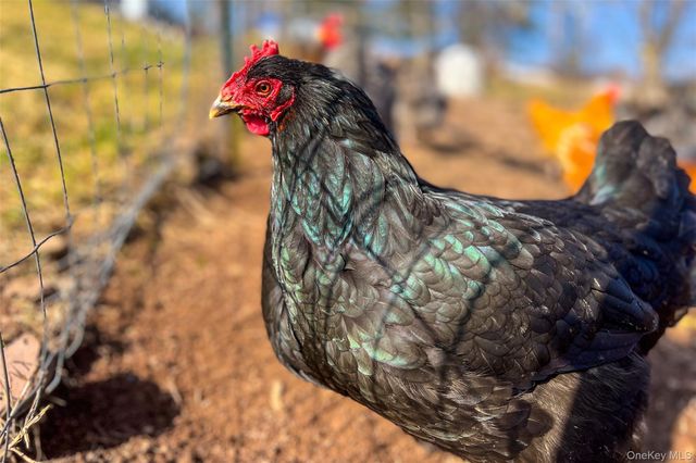 802 County Highway 3a, Call Listing Agent, NY 13849