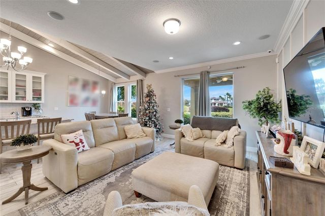 13316 PALMERA VISTA DRIVE, Riverview, FL 33579