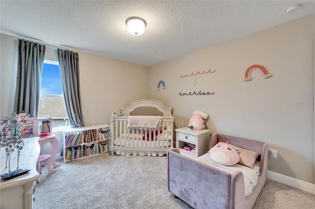 13316 PALMERA VISTA DRIVE, Riverview, FL 33579