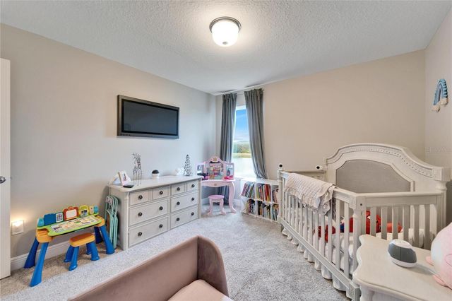 13316 PALMERA VISTA DRIVE, Riverview, FL 33579