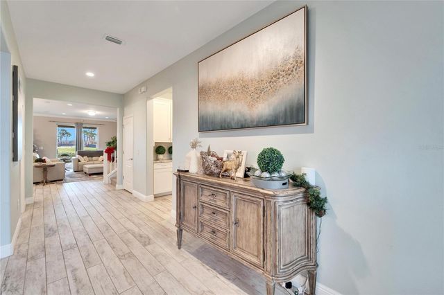 13316 PALMERA VISTA DRIVE, Riverview, FL 33579