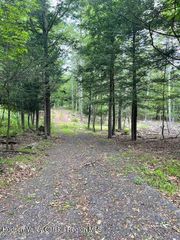 145 Frank Hitchcock Road, Cairo, NY 12413
