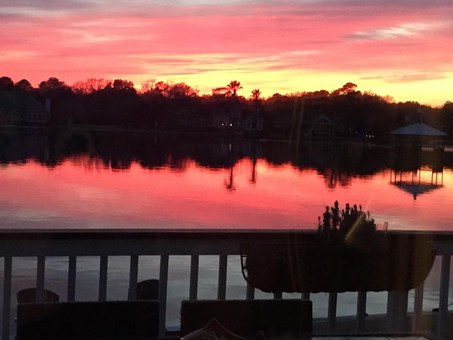 1313 Overcreek Court, Mount Pleasant, SC 29464