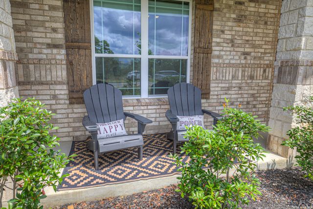 10696 Chestnut Warbler, New Braunfels, TX 78132