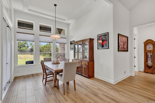 10696 Chestnut Warbler, New Braunfels, TX 78132