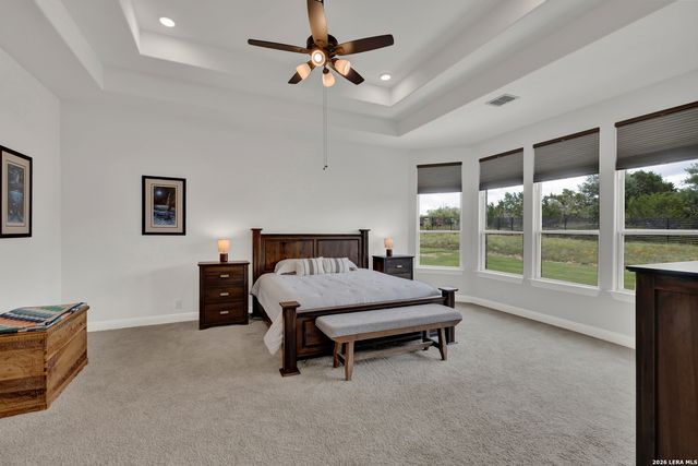 10696 Chestnut Warbler, New Braunfels, TX 78132