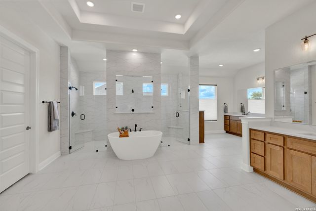 10696 Chestnut Warbler, New Braunfels, TX 78132
