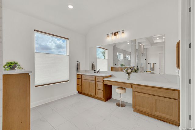 10696 Chestnut Warbler, New Braunfels, TX 78132