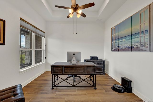 10696 Chestnut Warbler, New Braunfels, TX 78132