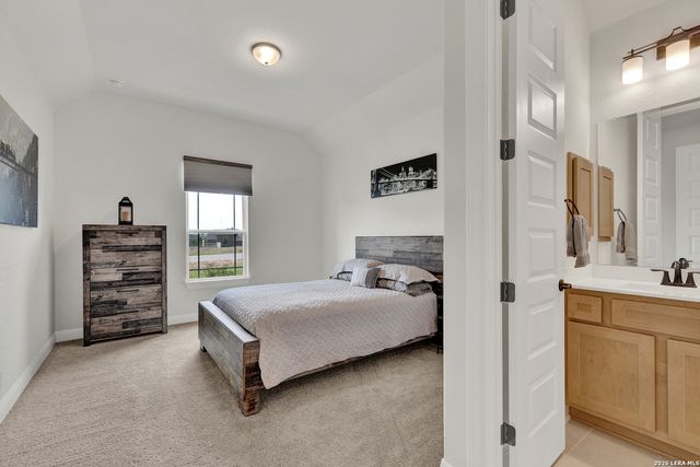 10696 Chestnut Warbler, New Braunfels, TX 78132
