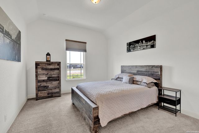 10696 Chestnut Warbler, New Braunfels, TX 78132