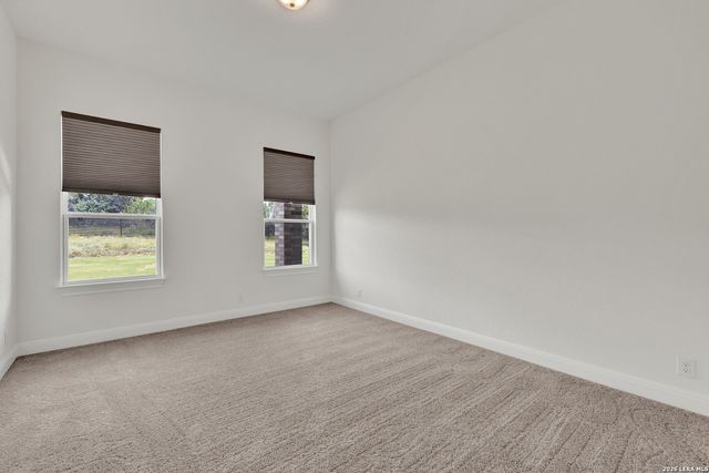 10696 Chestnut Warbler, New Braunfels, TX 78132