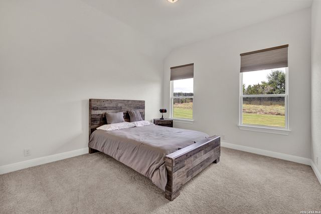 10696 Chestnut Warbler, New Braunfels, TX 78132
