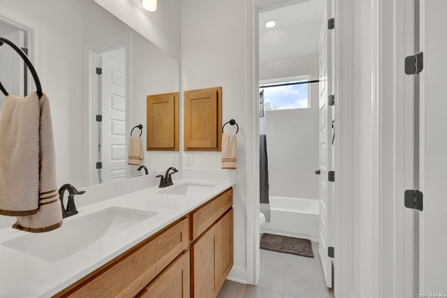 10696 Chestnut Warbler, New Braunfels, TX 78132