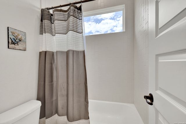 10696 Chestnut Warbler, New Braunfels, TX 78132