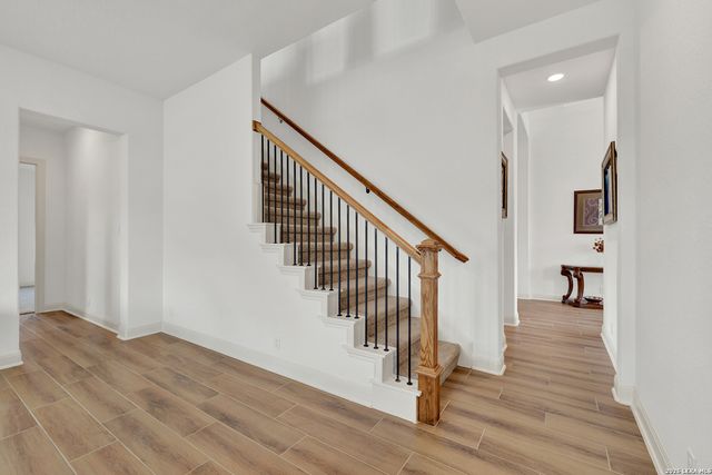 10696 Chestnut Warbler, New Braunfels, TX 78132