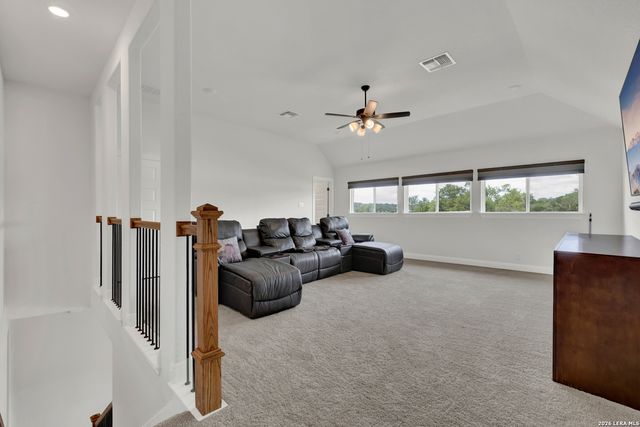 10696 Chestnut Warbler, New Braunfels, TX 78132