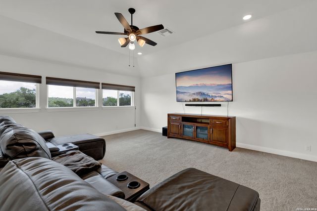 10696 Chestnut Warbler, New Braunfels, TX 78132