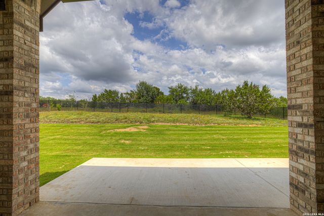 10696 Chestnut Warbler, New Braunfels, TX 78132