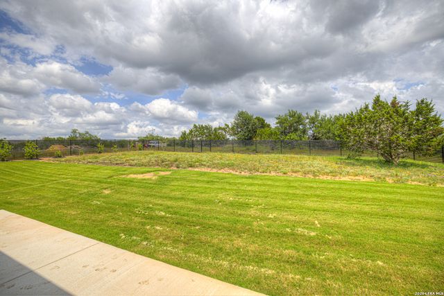 10696 Chestnut Warbler, New Braunfels, TX 78132