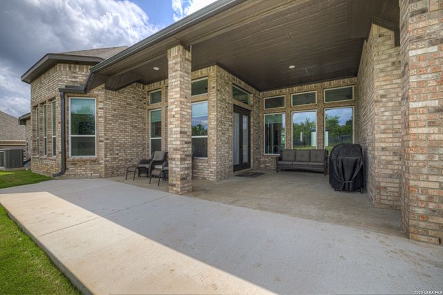 10696 Chestnut Warbler, New Braunfels, TX 78132