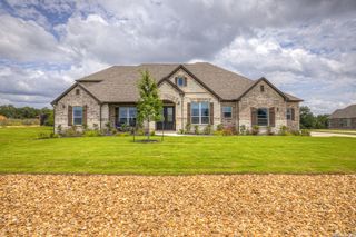 10696 Chestnut Warbler, New Braunfels, TX 78132