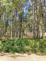 11813 Country Club Drive, Anderson Island, WA 98303