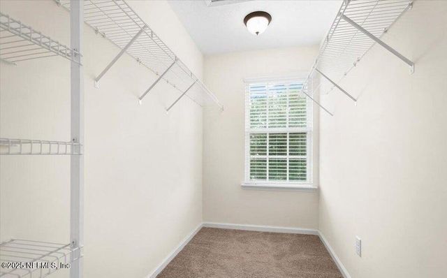 612 WISHING Way, Orange Park, FL 32073