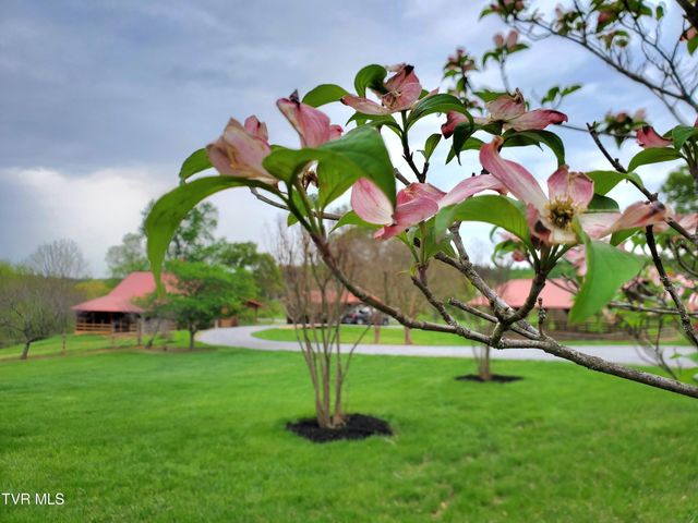 1331 Bright Hope Road, Greeneville, TN 37743