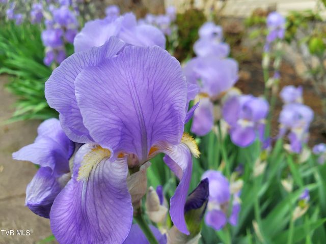 1331 Bright Hope Road, Greeneville, TN 37743