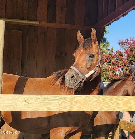 1331 Bright Hope Road, Greeneville, TN 37743