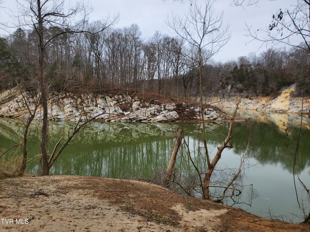 1331 Bright Hope Road, Greeneville, TN 37743