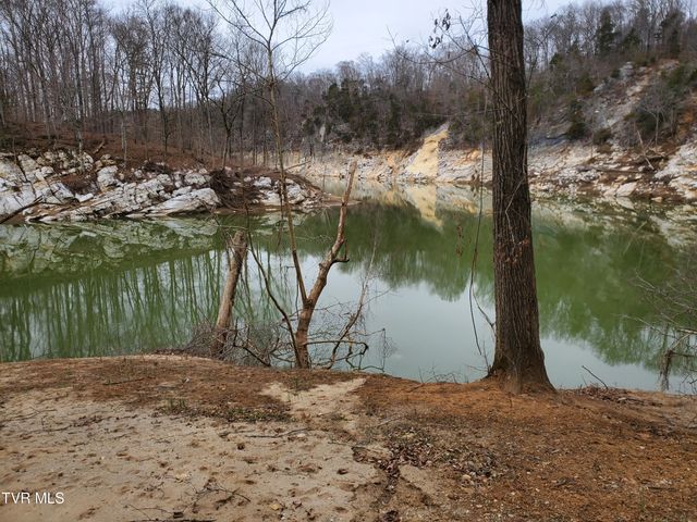 1331 Bright Hope Road, Greeneville, TN 37743