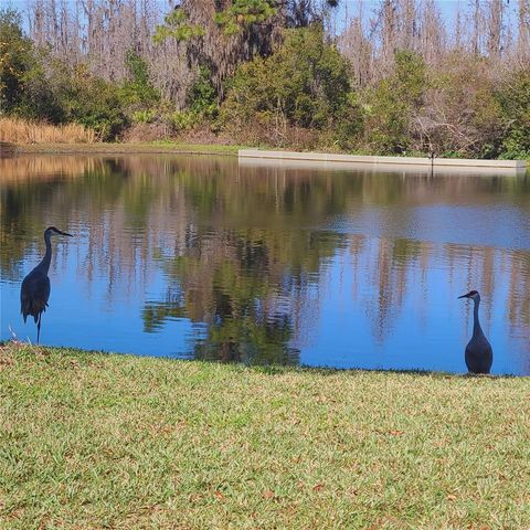 4513 POINTE O WOODS DRIVE, Wesley Chapel, FL 33543