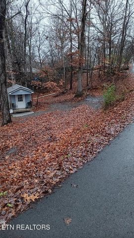 1901 Bootbluff Trail Tr, Dandridge, TN 37725