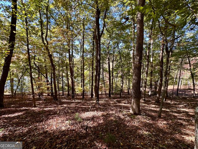 29 Forked Leaf Road, Cleveland, GA 30528